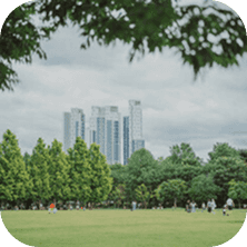 square_img_/pages/ticket/region_seongsu3.png
